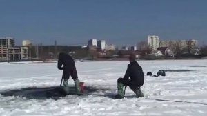 Как намыть много мотыля.