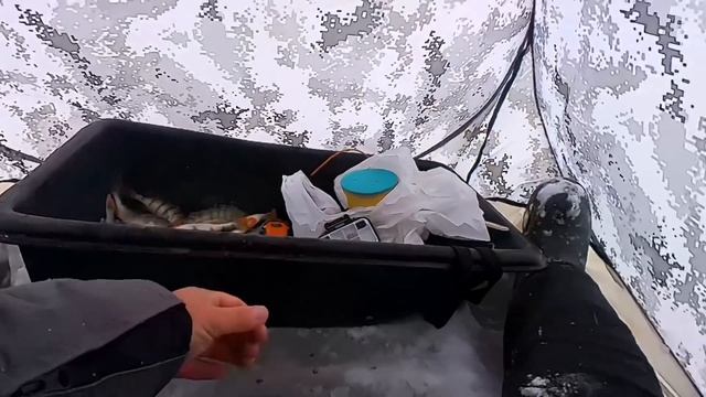 ?НЕхилая РАЗДАЧА ! 30 окуней за 15 минут#окуньнамормышку #крупныйокунь смотреть онлайн