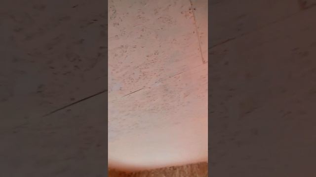 Домашний благоустроенный