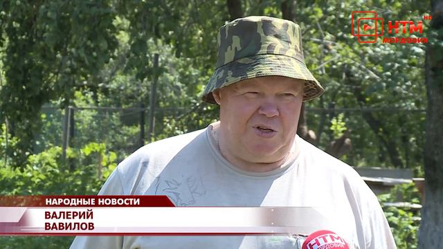 День дачника смотреть онлайн