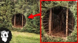 Жуткие Находки в Диких Местах