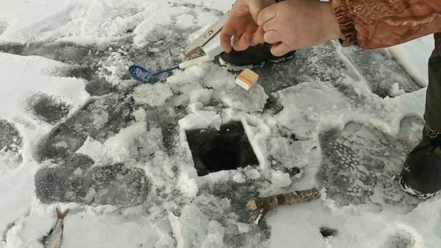 ЗИМНЯЯ САМОПОДСЕКАЮЩАЯ УДОЧКА!!! Уловистая снасть, которая ловит всю рыбу. СДЕЛАЙ СЕБЕ ТАКУЮ!!! смотреть онлайн