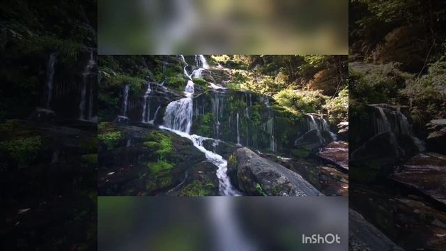 В твоих глазах Сергей Паровой смотреть онлайн