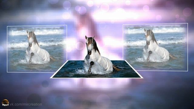 КРАСОТА И ГРАЦИОЗНОСТЬ! | ФотоШОУ PRO | FotoShow PRO смотреть онлайн