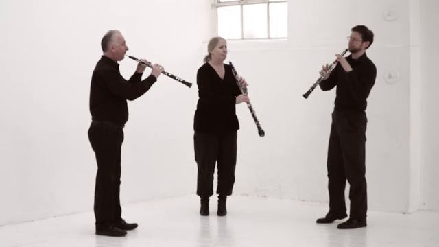 Beethoven op 87 Menuetto & Trio played by the Lonarc Oboe Trio смотреть онлайн