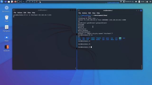 Stabilize a Reverse Shell смотреть онлайн