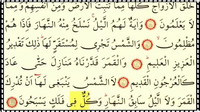 Шейх Судайс (Сура-36 Ясин)