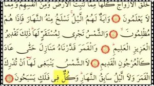 Шейх Судайс (Сура-36 Ясин)