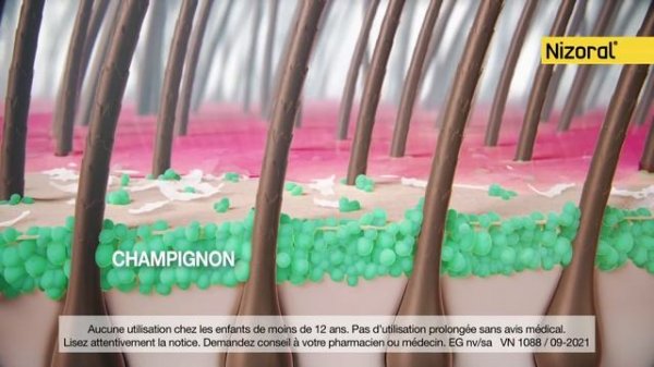 Nizoral – une solution efficace