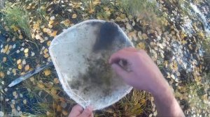 ЛОВЛЯ МОРМЫША - БОРМЫША | КАК?ГДЕ?ЧЕМ?