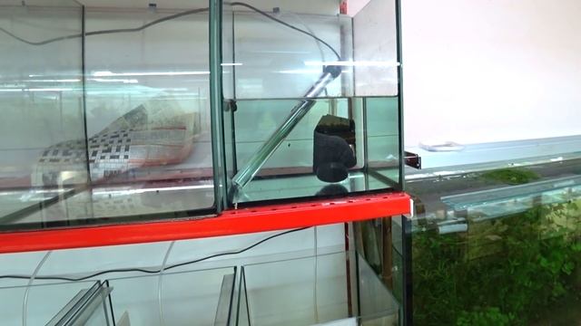 Скалярия не выдержала смотреть онлайн