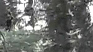 3 САМЫХ ДОСТОВЕРНЫХ ВИДЕО С ЙЕТИ (СНЕЖНЫЙ ЧЕЛОВЕК)