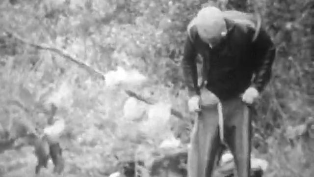 ВАСО - Цех 59 на катере (Воронеж - лето 1980) смотреть онлайн