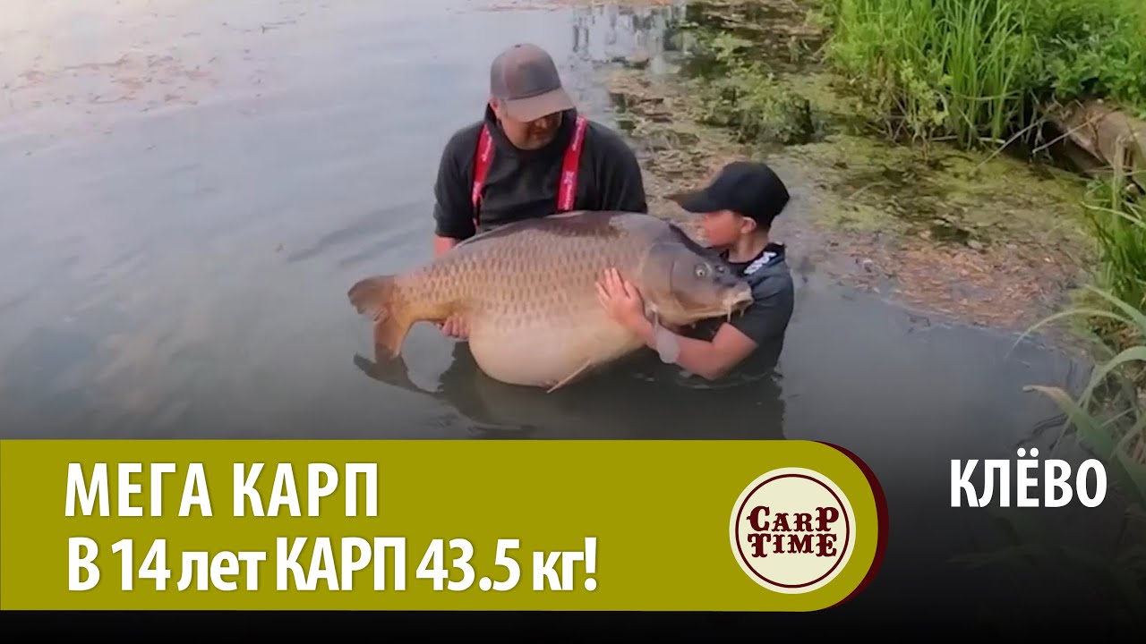 ?МЕЧТА карпятника! В 14 лет поймал МЕГА карпа 43+!!!