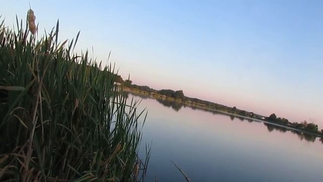 ЛОВЛЯ КАРАСЯ В ЖАРУ. РЫБАЛКА НА ПОПЛАВОК .НАСАДКА НА КАРАСЯ. смотреть онлайн