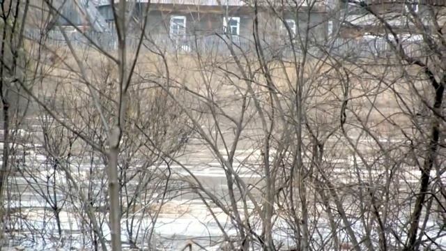 Болен Рыбалкой №276 - Ловля уклейки на боковой кивок смотреть онлайн