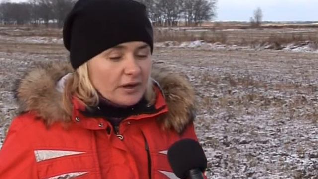 аисты смотреть онлайн