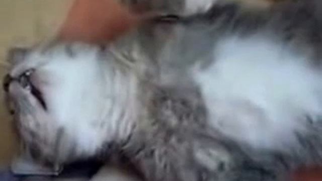 Крепко спит смотреть онлайн