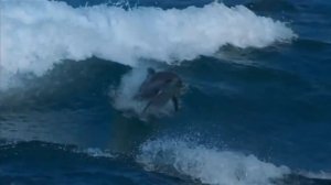 Гаятри мантра  ✿ Мантра убирает весь негатив, порчу