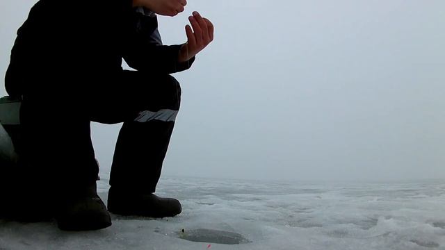 Плотва дает жару!!! Пока не обурили… смотреть онлайн