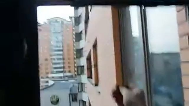 Роллетная москитная сетка смотреть онлайн