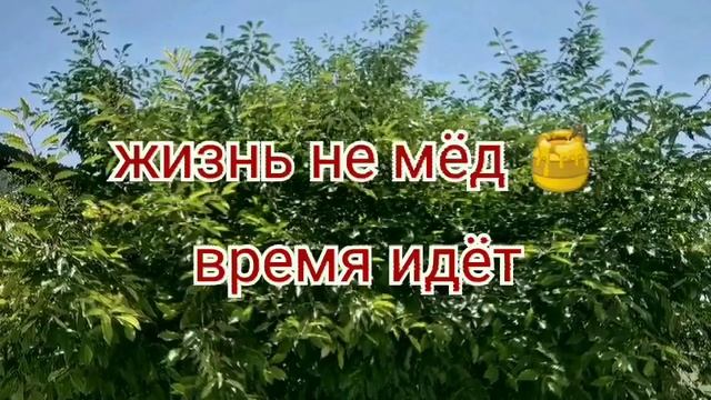 Лучшие СТИХИ: КАГЖЕ Я УСТАЛ ОТ ЖИЗНИ! смотреть онлайн