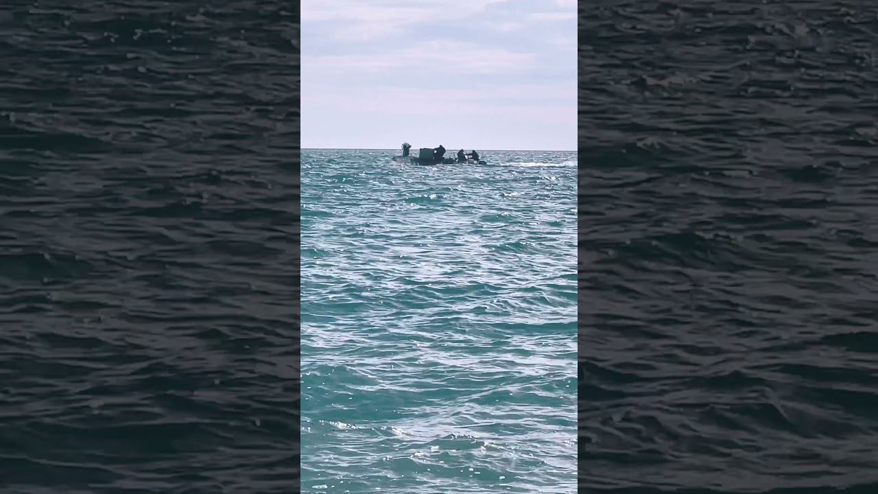 Утро на море. Вардане. #vlog #сочи смотреть онлайн