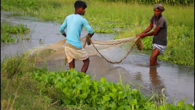 The Most Catch Fishing With Beautiful Natural - Fishing By Net