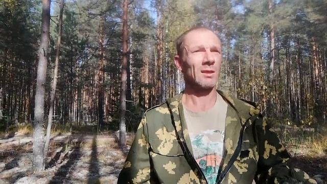 Если Вы заблудились в лесу! Что взять с собой в лес. смотреть онлайн