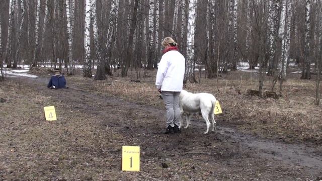 ХНК, Райдаш смотреть онлайн