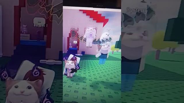 3 котика #roblox #robloxshorts #popcat ?? смотреть онлайн
