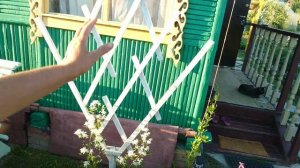 Видео привет с 6 соток 29 июня 2024 года.