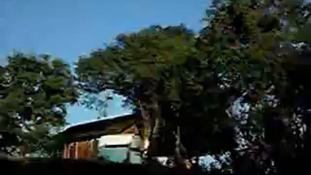 FRESNO.wmv смотреть онлайн