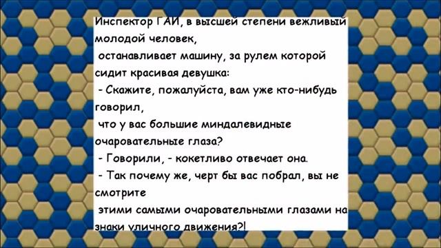 ЕДУ я, еду, ВДРУГ дерево ПОСРЕДИ дороги... ЗАБАВНЫЙ анекдот дня. смотреть онлайн