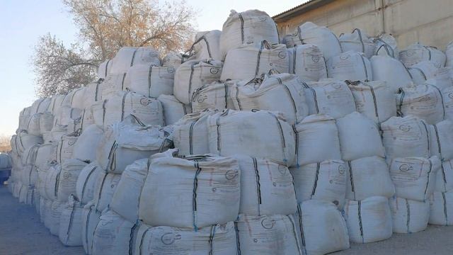 Биг беги Иран в Астрахани