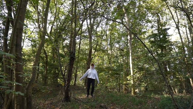 feeling the nature, video work 3:56 смотреть онлайн