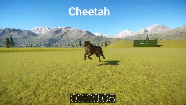 Animal race in Planet Zoo - Common Ostrich, Cheetah and African Wild Dog смотреть онлайн