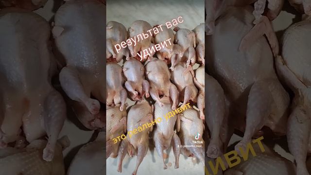 Кто лучше Техас или Феникс, разница тушек смотреть онлайн