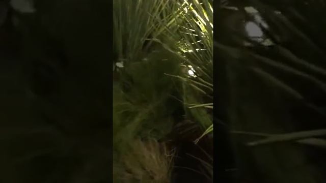 Flos outdoor | Светодизайн от Дюплекс Апартмент смотреть онлайн