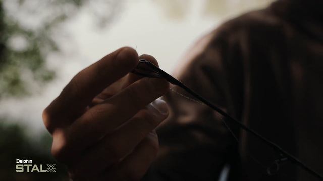 Delphin STALX смотреть онлайн