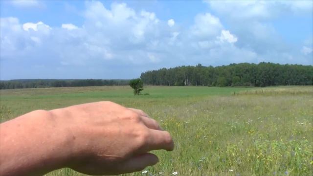 Киржач природа /летний эпизод / смотреть онлайн