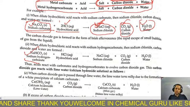 CHEMISTRY FOR CLASS 10 CHAPTER 2 ACIDS BASES AND SALTS PART- 01 смотреть онлайн