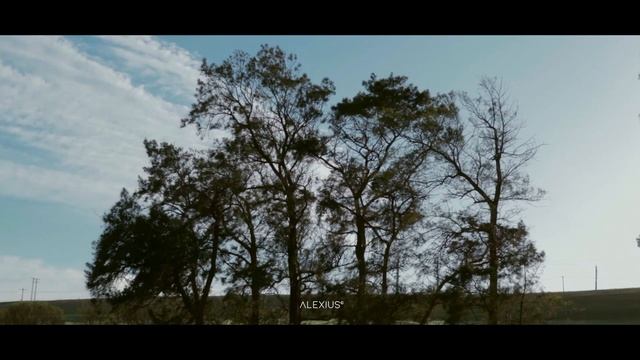 Cinematic video - Canon 250D (SL3) with kit lens. смотреть онлайн