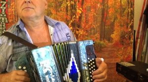 " Я тебя нарисовал"... на гармони .