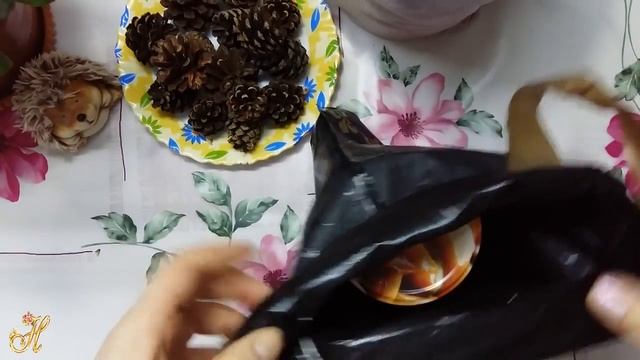 Сосновые шишки в помощь сосудам смотреть онлайн