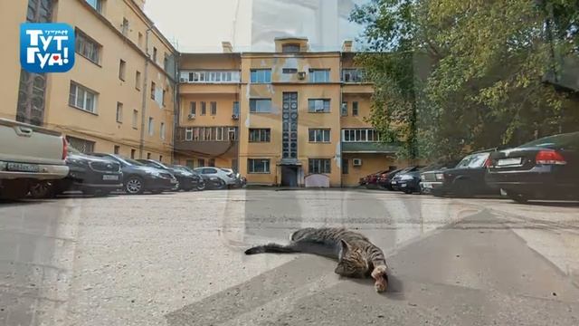 ТутГуд истории: Пятый дом в Жуковском