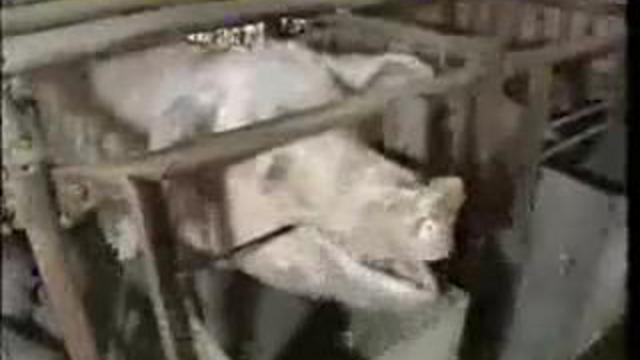 Сюжет с курьёзом смотреть онлайн