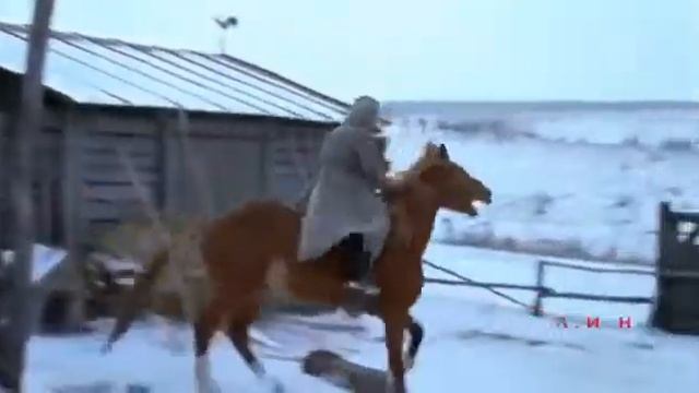 Чёрный ворон " Казачья песня " смотреть онлайн