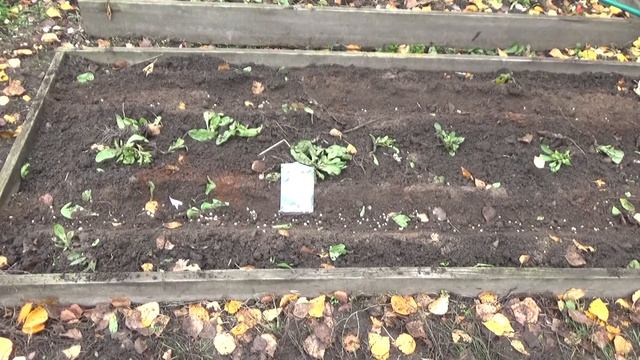 Строительные Чудеса