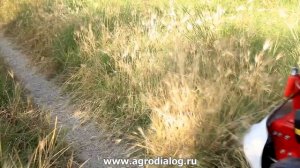 Сенокосилка Eurosystems Bilama M210